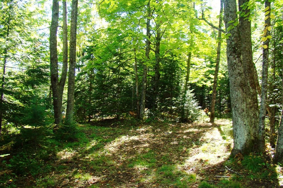 Meteor, Sawyer County, WI Recreational Property, Hunting Property for