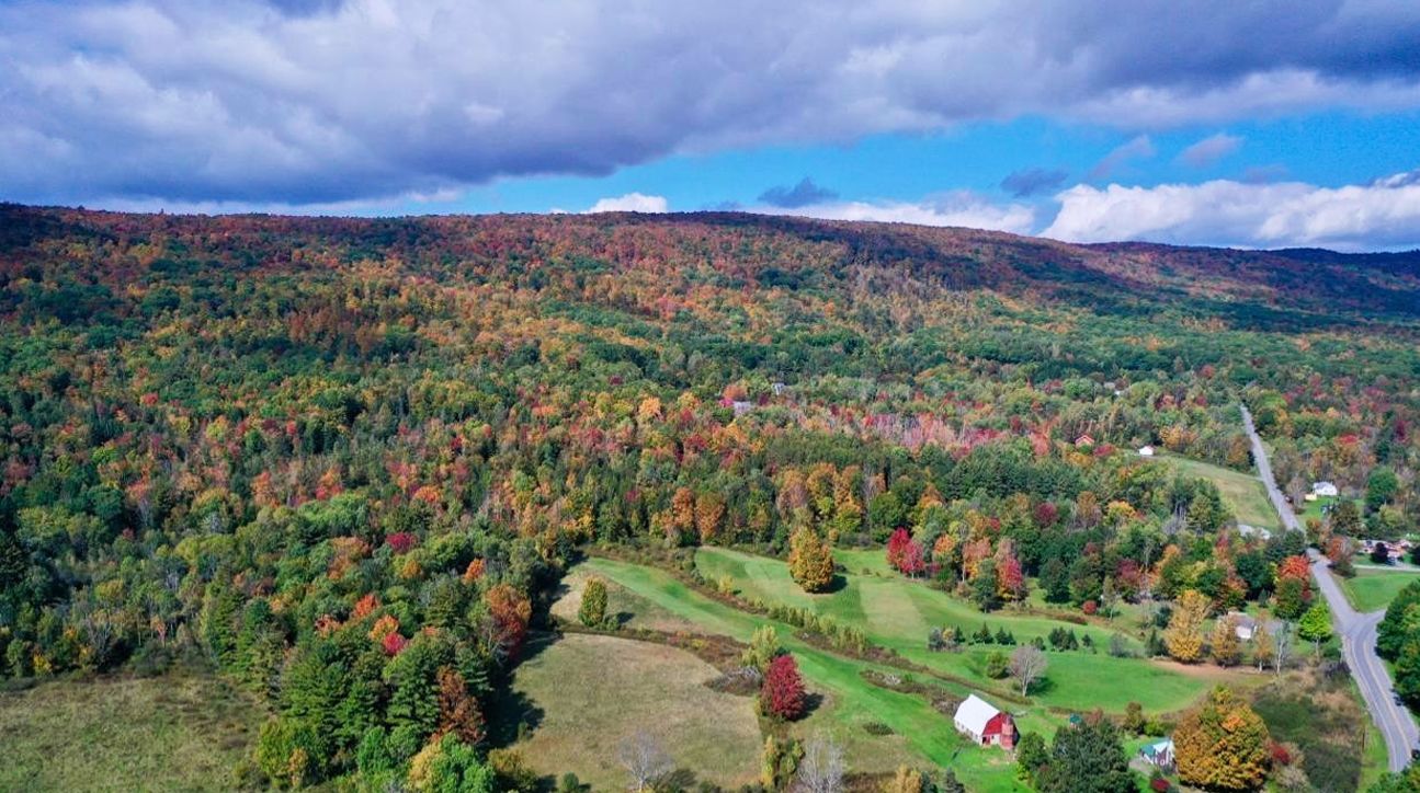 Johnstown, Fulton County, NY Undeveloped Land for sale Property ID