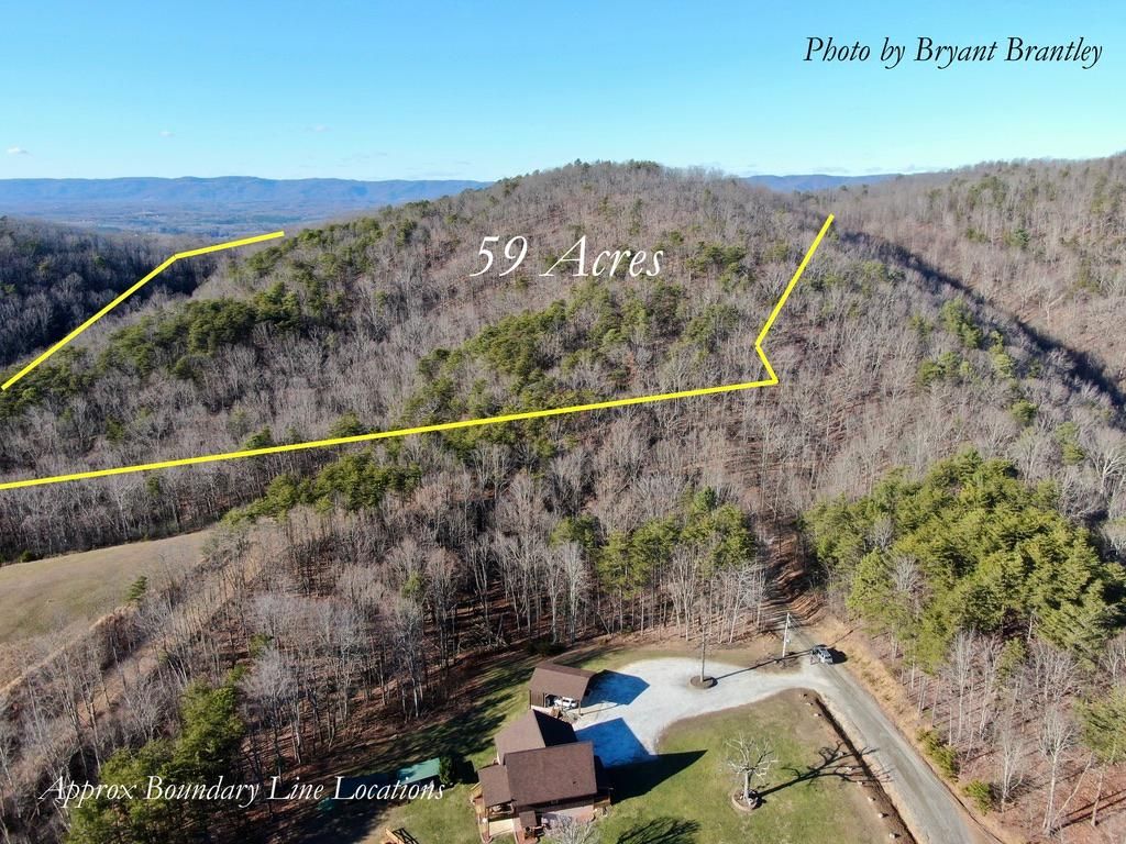 Mount Airy, Surry County, NC Timberland Property for sale Property ID