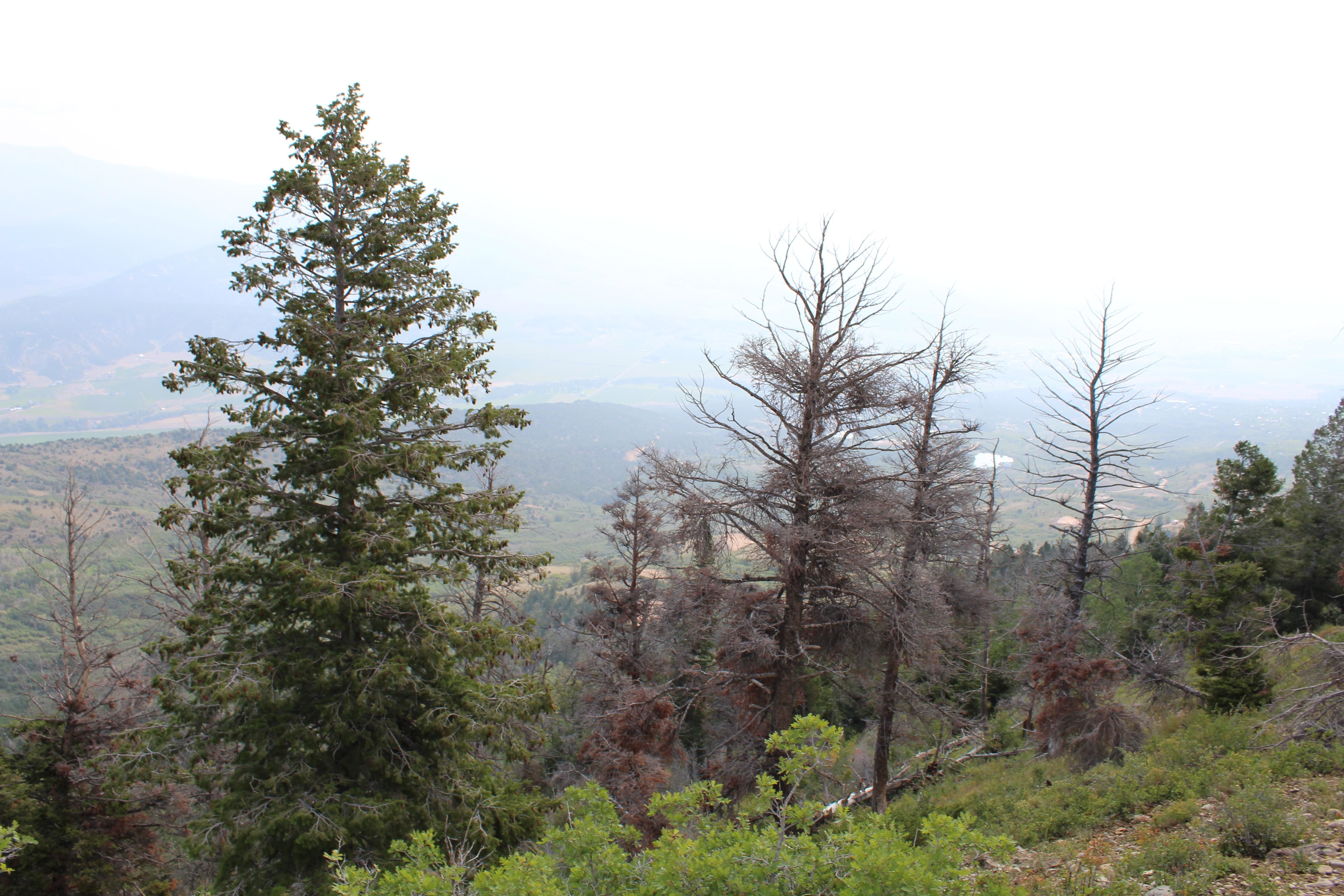 Tabiona, Duchesne County, UT Recreational Property, Hunting Property