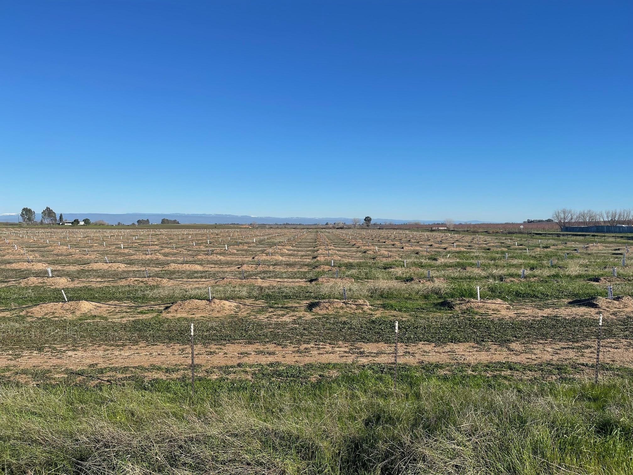 Corning, Tehama County, CA Farms and Ranches, Undeveloped Land for sale