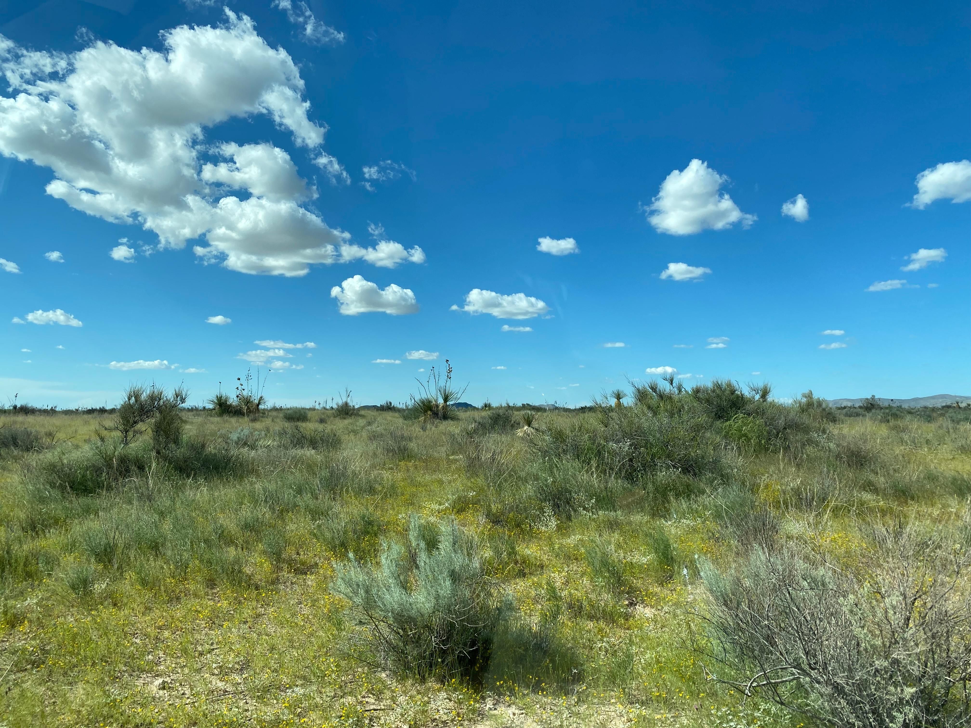 Presidio, Presidio County, TX Farms and Ranches, Recreational Property