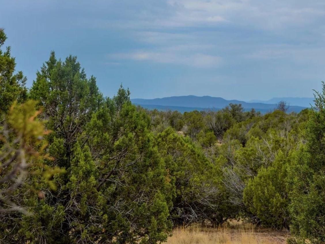 Williams, Coconino County, AZ Recreational Property, Undeveloped Land