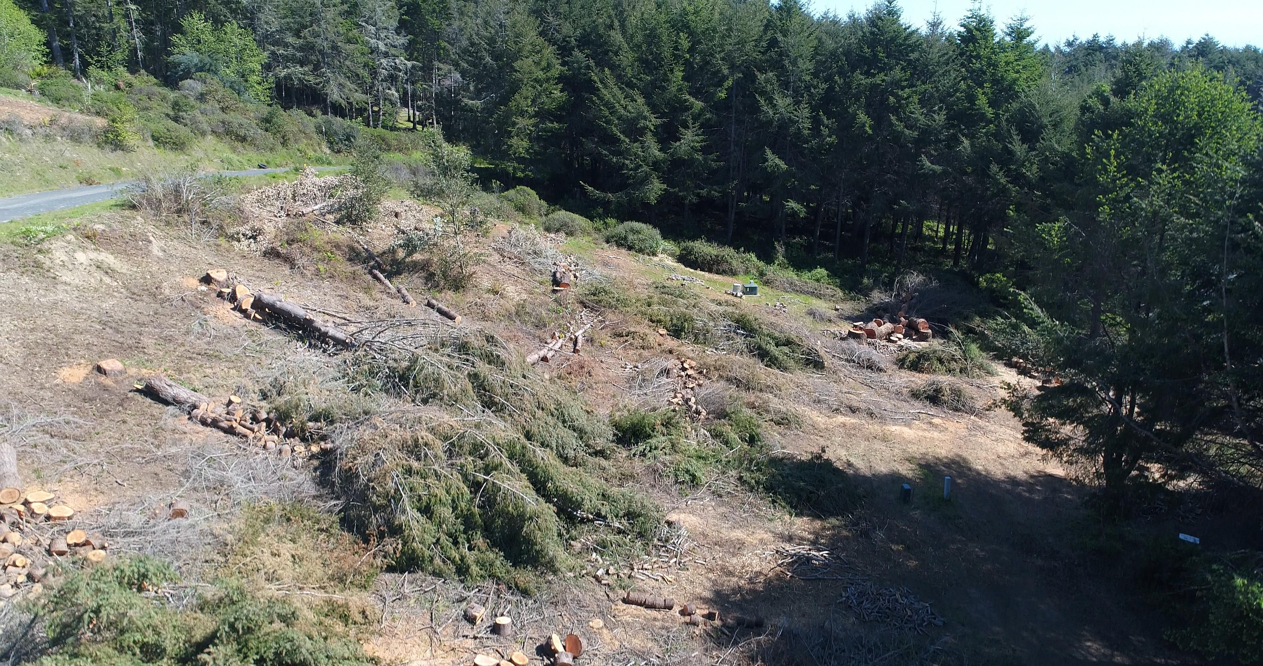 Whitethorn, Humboldt County, CA Recreational Property, Undeveloped Land