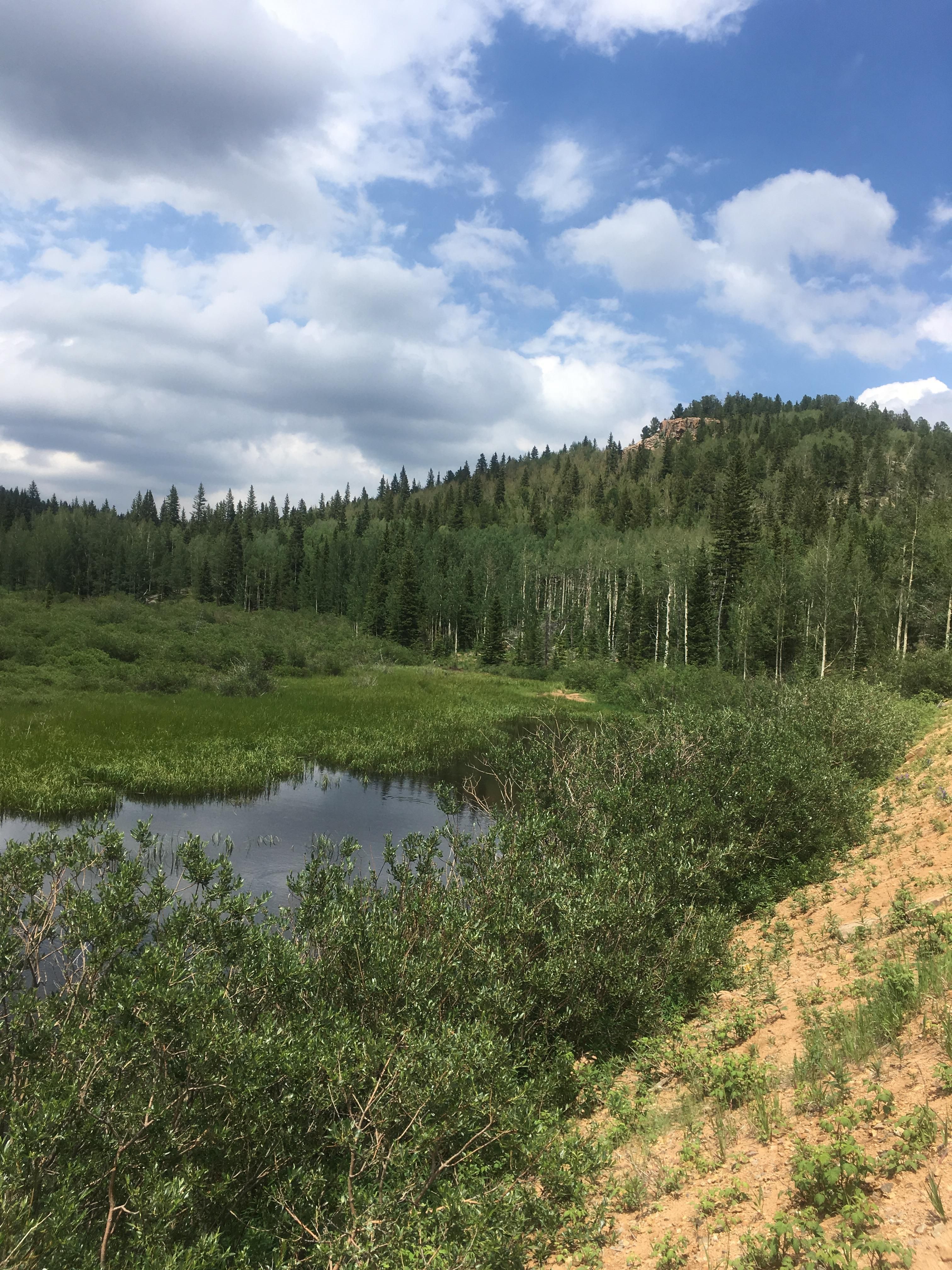 Colorado Springs, El Paso County, CO Recreational Property, Undeveloped