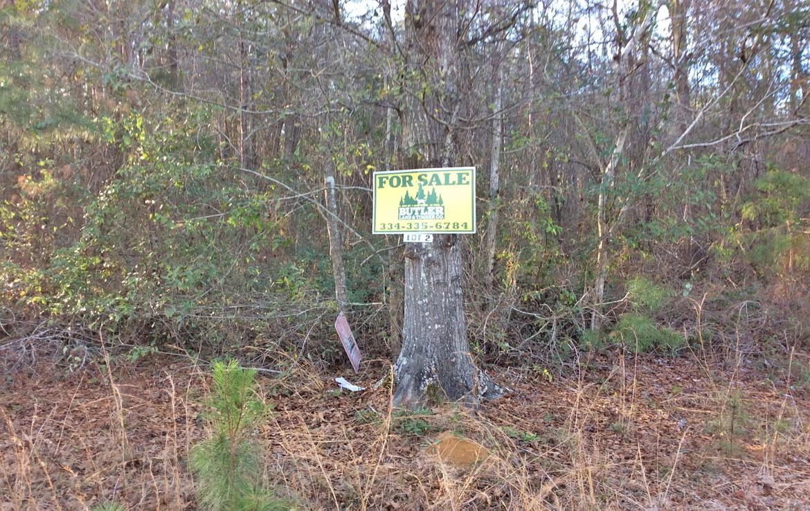 Highland Home, Crenshaw County, AL Hunting Property, Homesites for sale