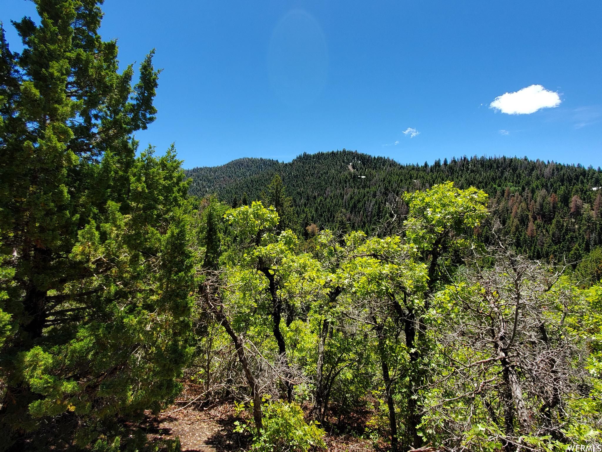 Mount Pleasant, Sanpete County, UT Recreational Property, Horse