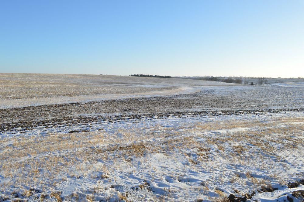 Prairie City, Jasper County, IA Farms and Ranches, Recreational
