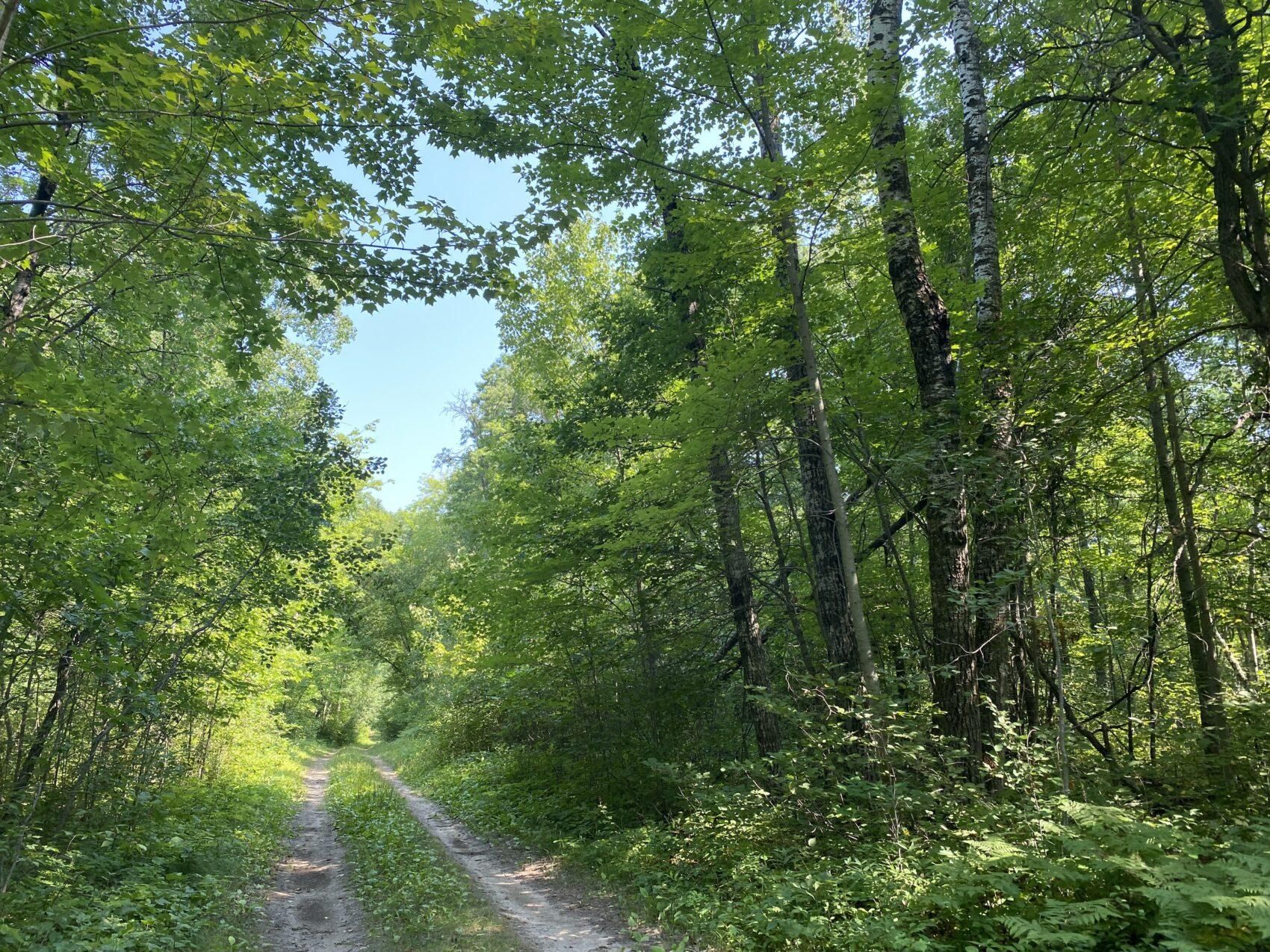 Pequot Lakes, Crow Wing County, MN Recreational Property, Hunting