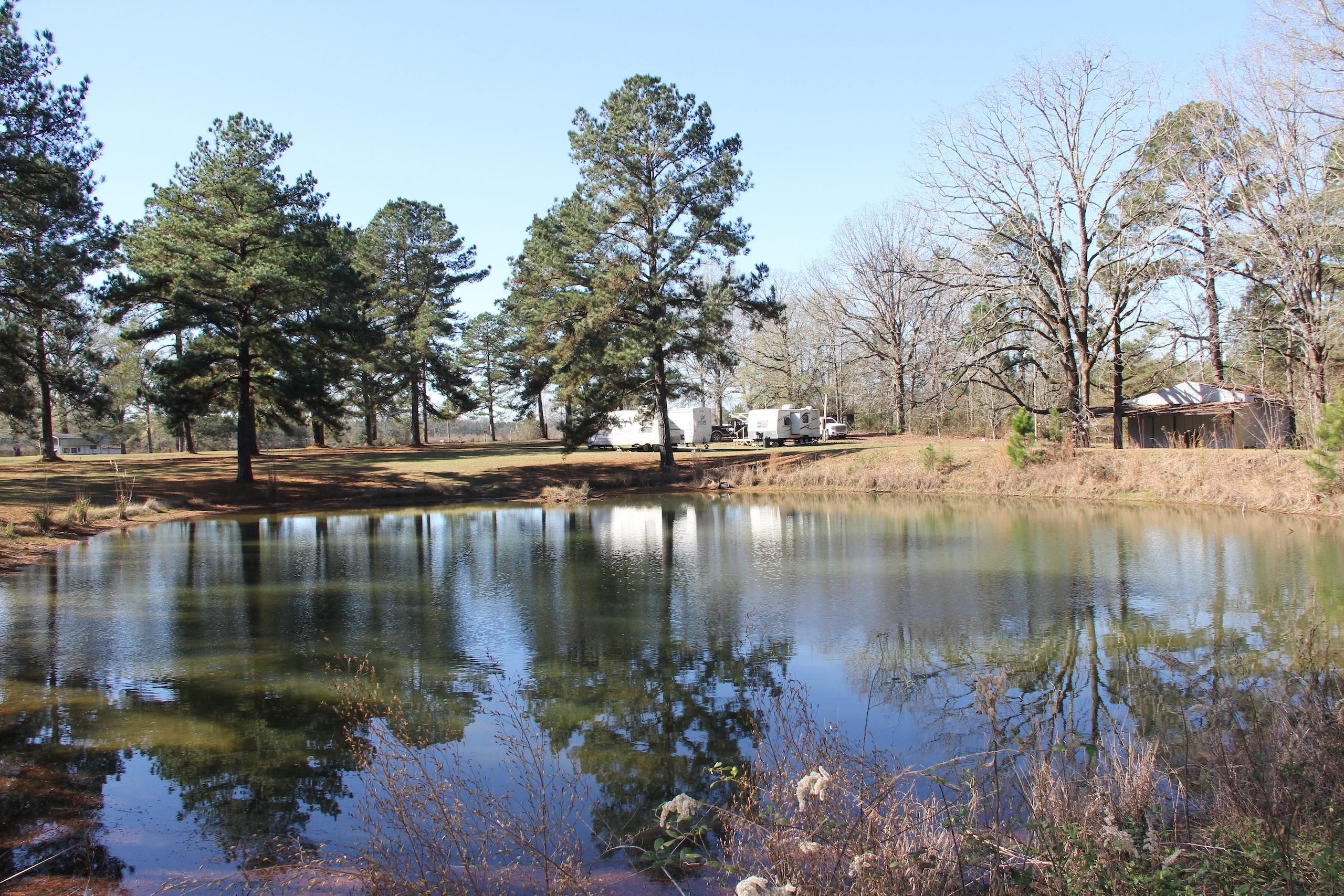 Brookhaven, Lincoln County, MS Recreational Property, Timberland