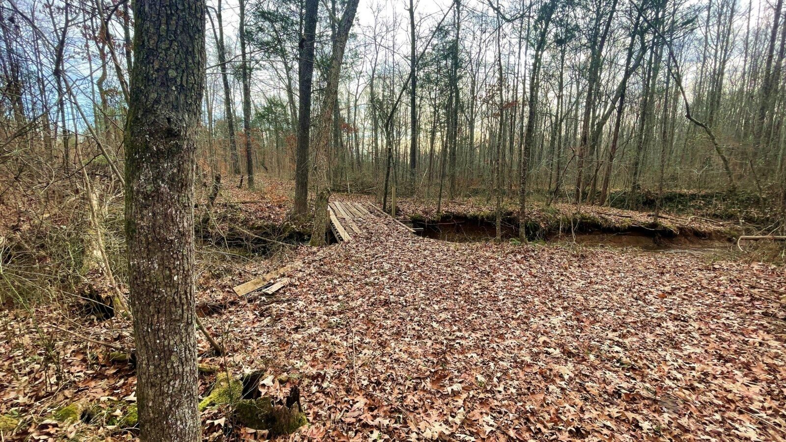 Sardis, Hardin County, TN Recreational Property, Undeveloped Land for