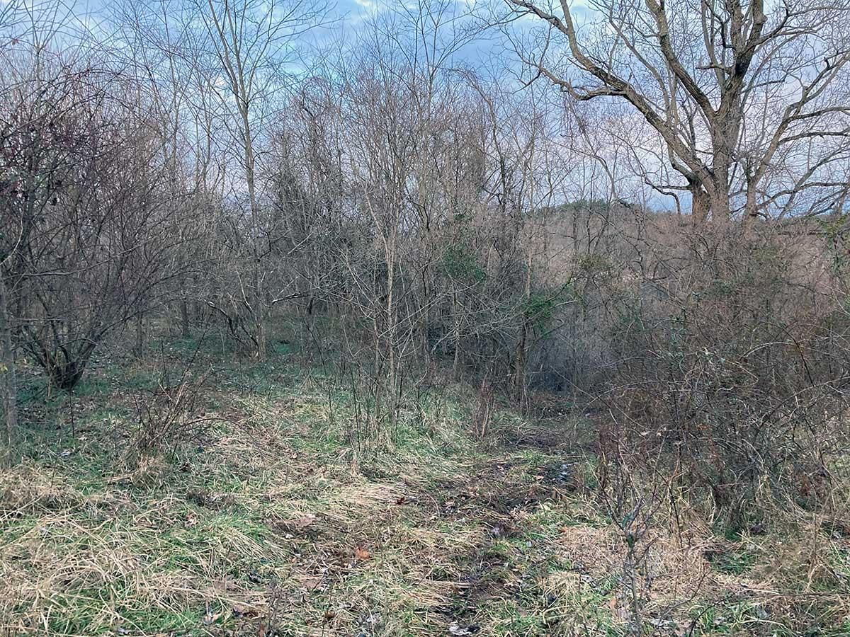 Belpre, Washington County, OH Undeveloped Land, Hunting Property for