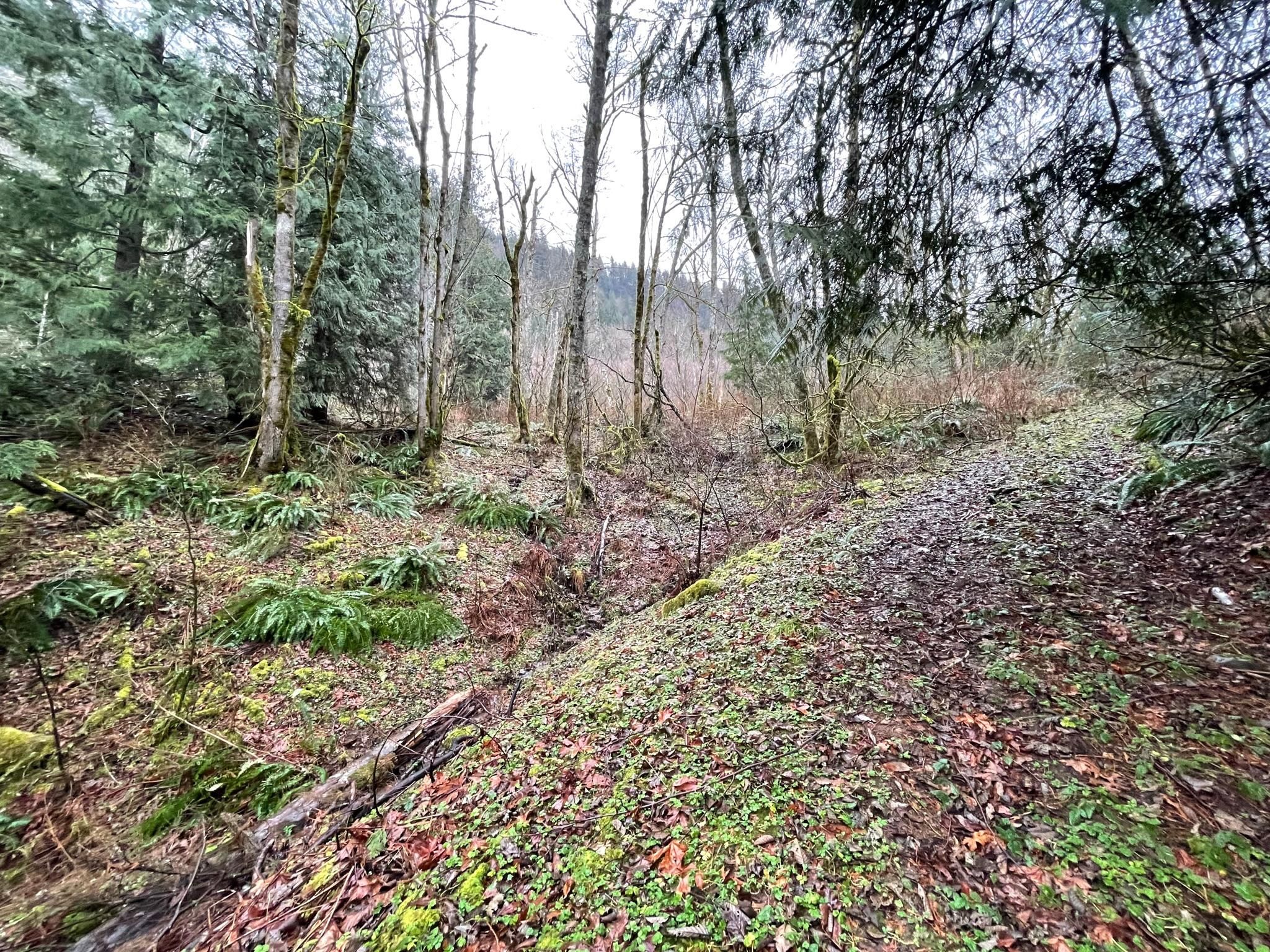 EnumcLaw, King County, WA Recreational Property, Undeveloped Land