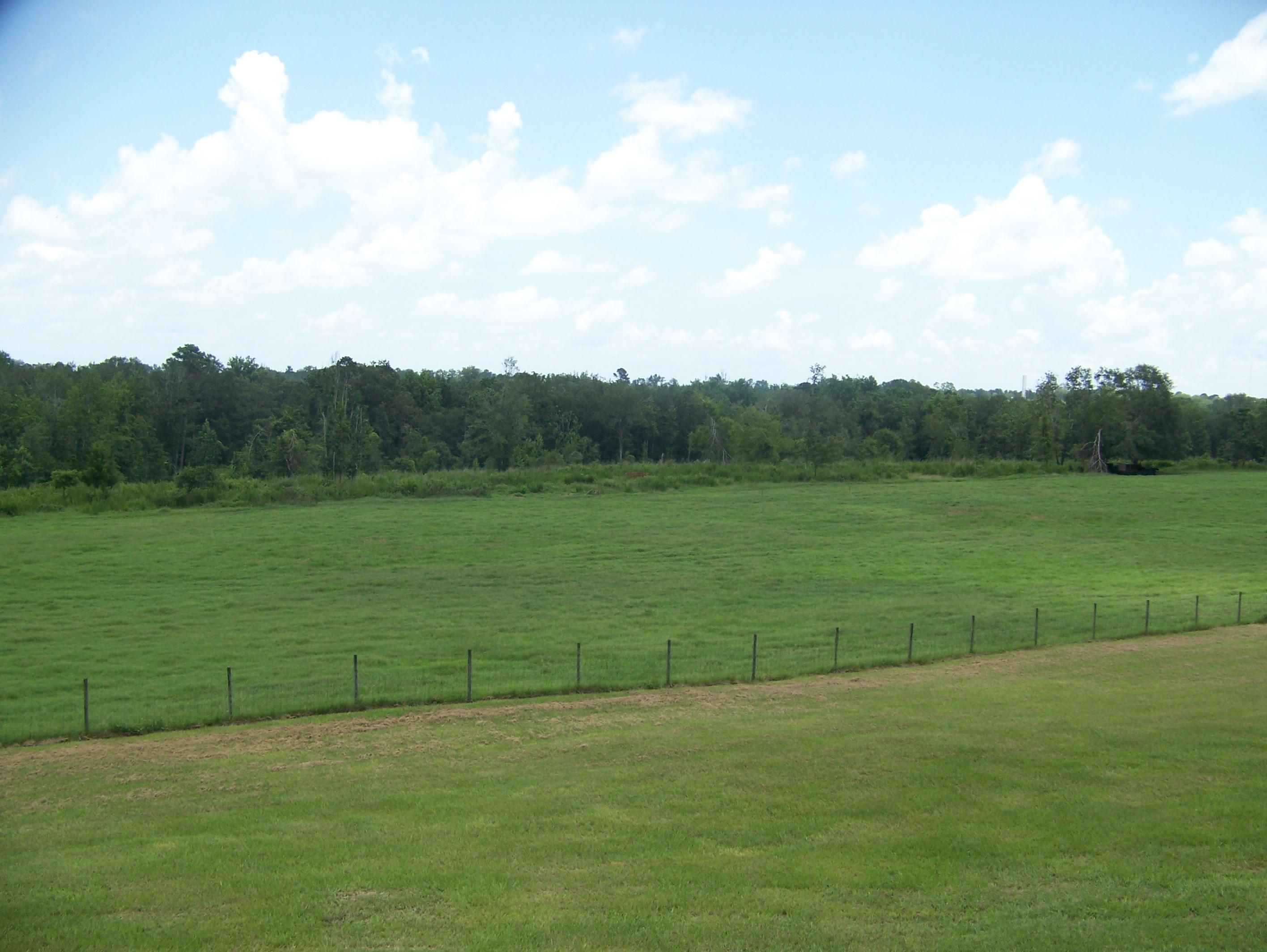 218 Chaney Branch Road, Clio, AL 36017 MLS 22369 LandWatch