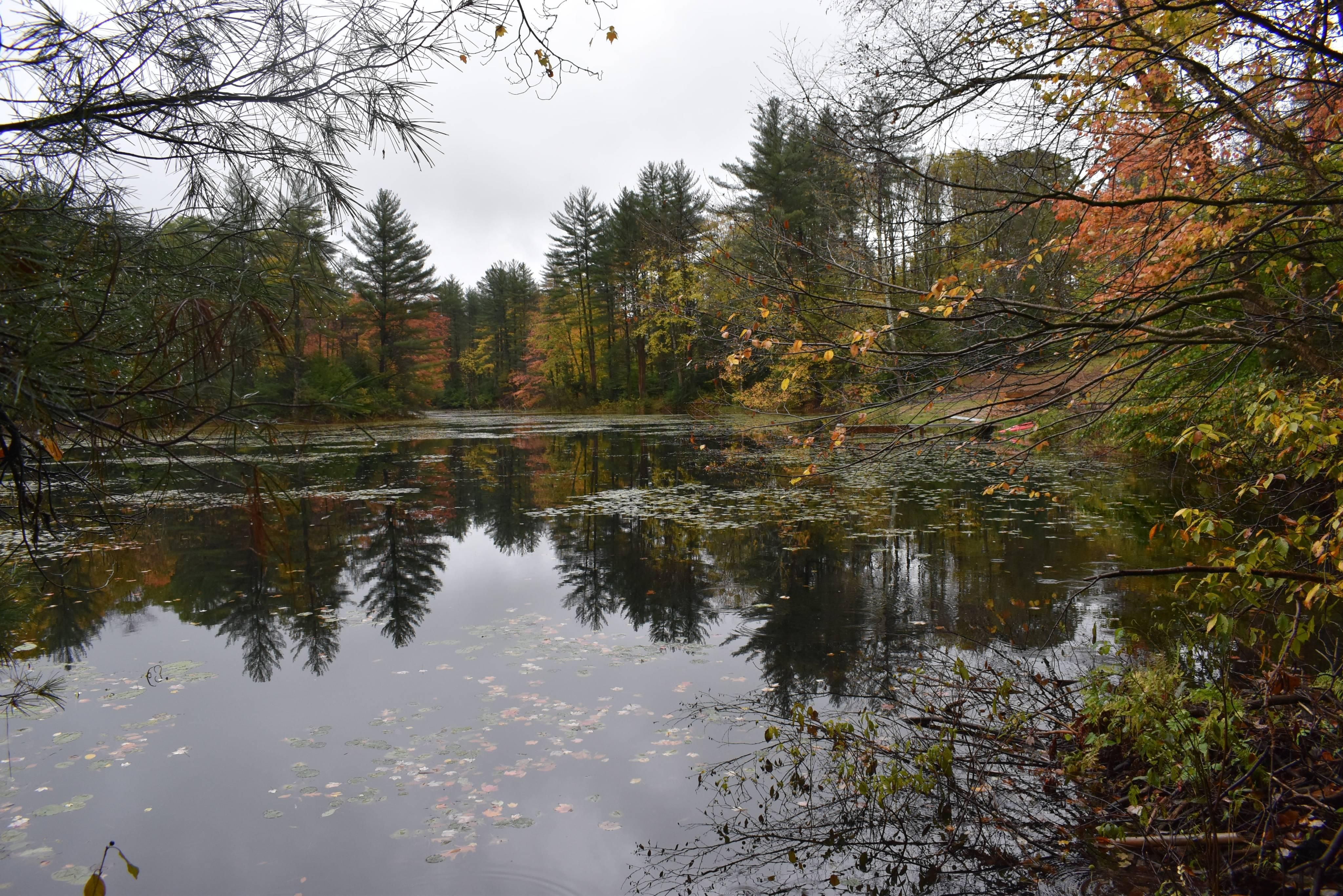 Altmar, Oswego County, NY Recreational Property, Hunting Property for