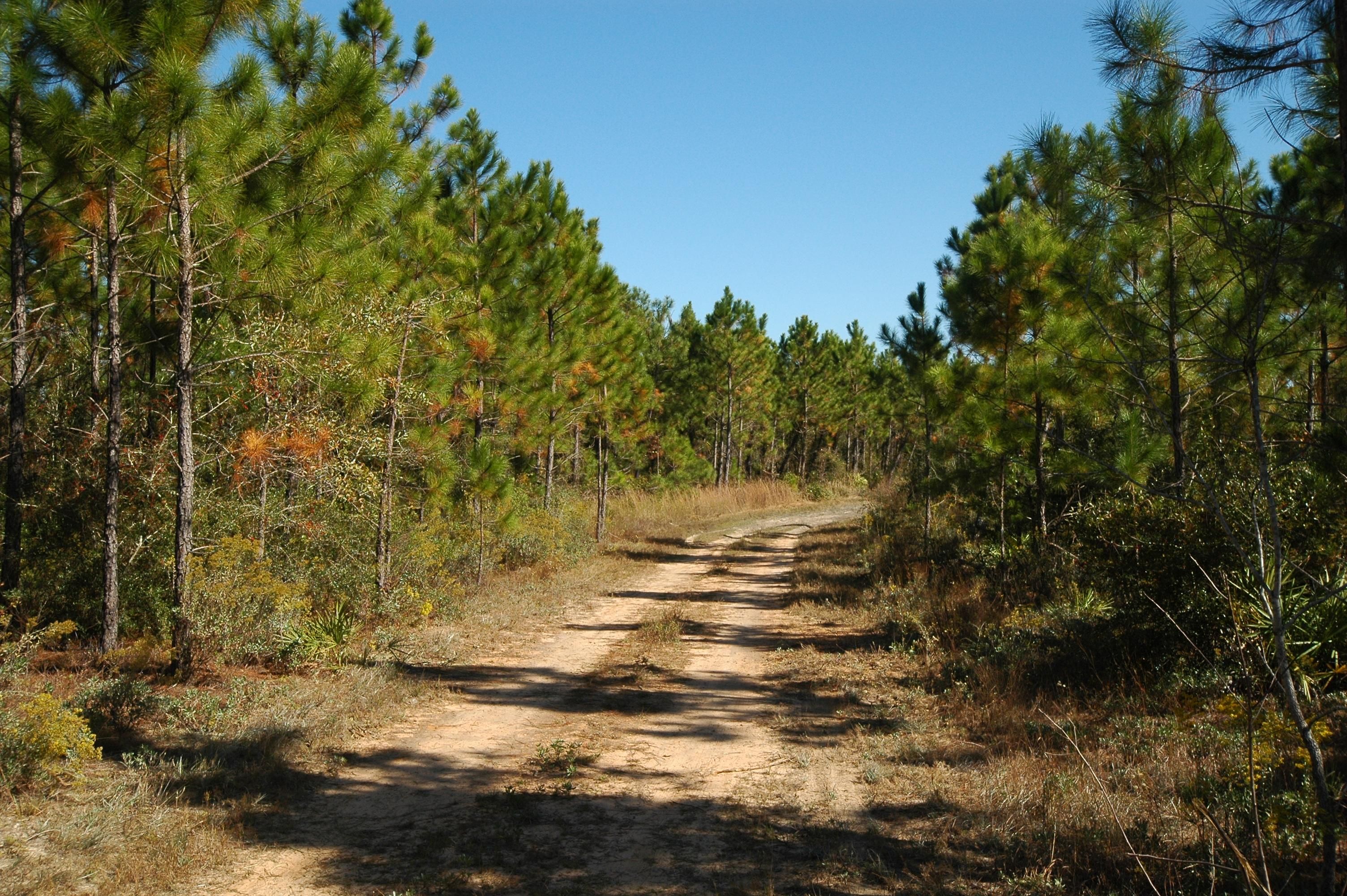 Fountain, Bay County, FL Recreational Property, Timberland Property