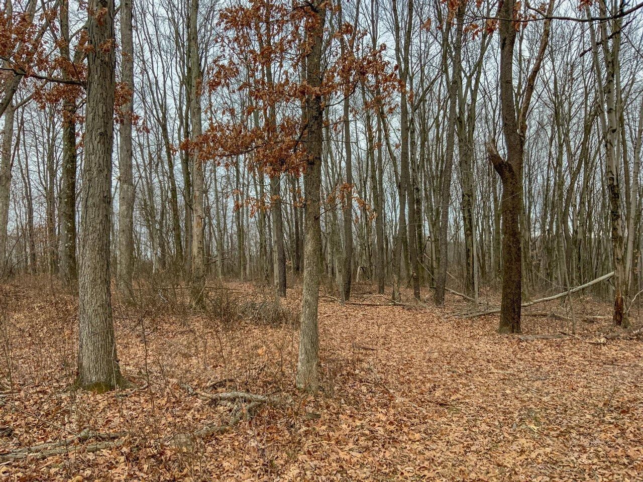 Lisbon, Columbiana County, OH Recreational Property, Hunting Property
