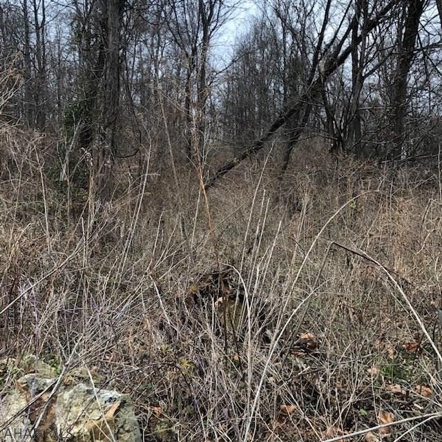 Manns Choice, Bedford County, PA Undeveloped Land, Homesites for sale