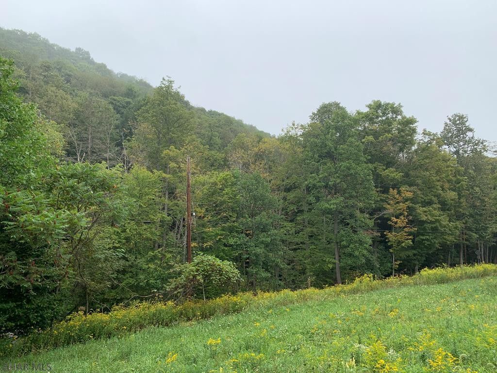 Imler, Bedford County, PA Undeveloped Land for sale Property ID 339217664 LandWatch