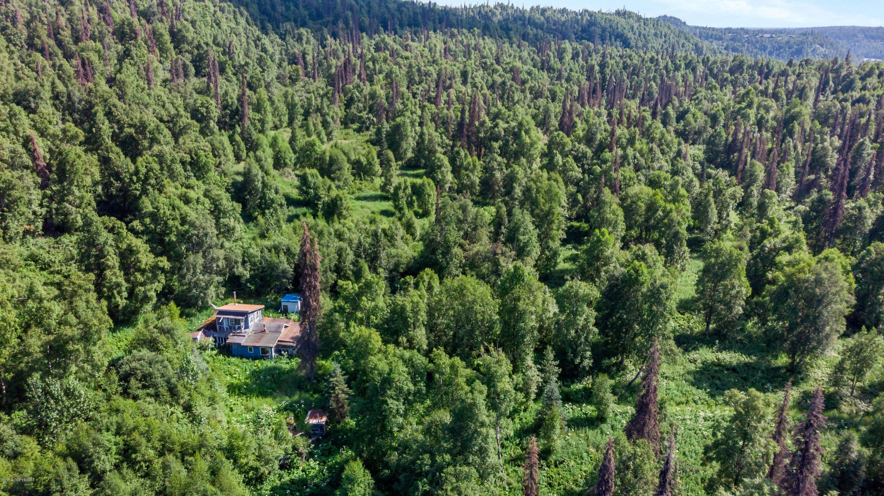 Trapper Creek, MatanuskaSusitna Borough, AK Undeveloped Land for sale Property ID 338742959