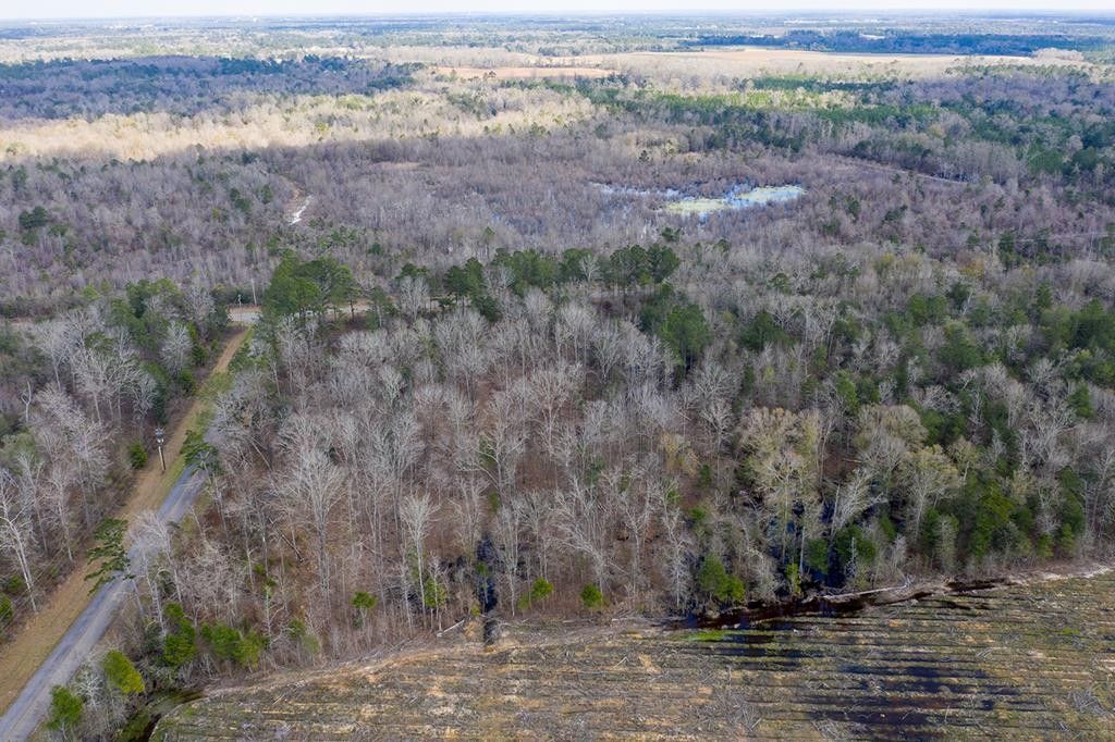 Albany, Dougherty County, GA Undeveloped Land for sale Property ID