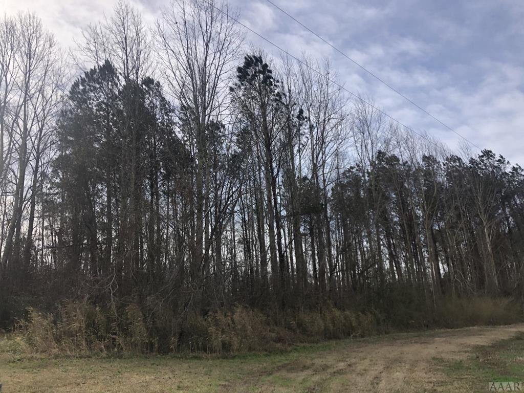 South Mills, Camden County, NC Farms and Ranches for sale Property ID
