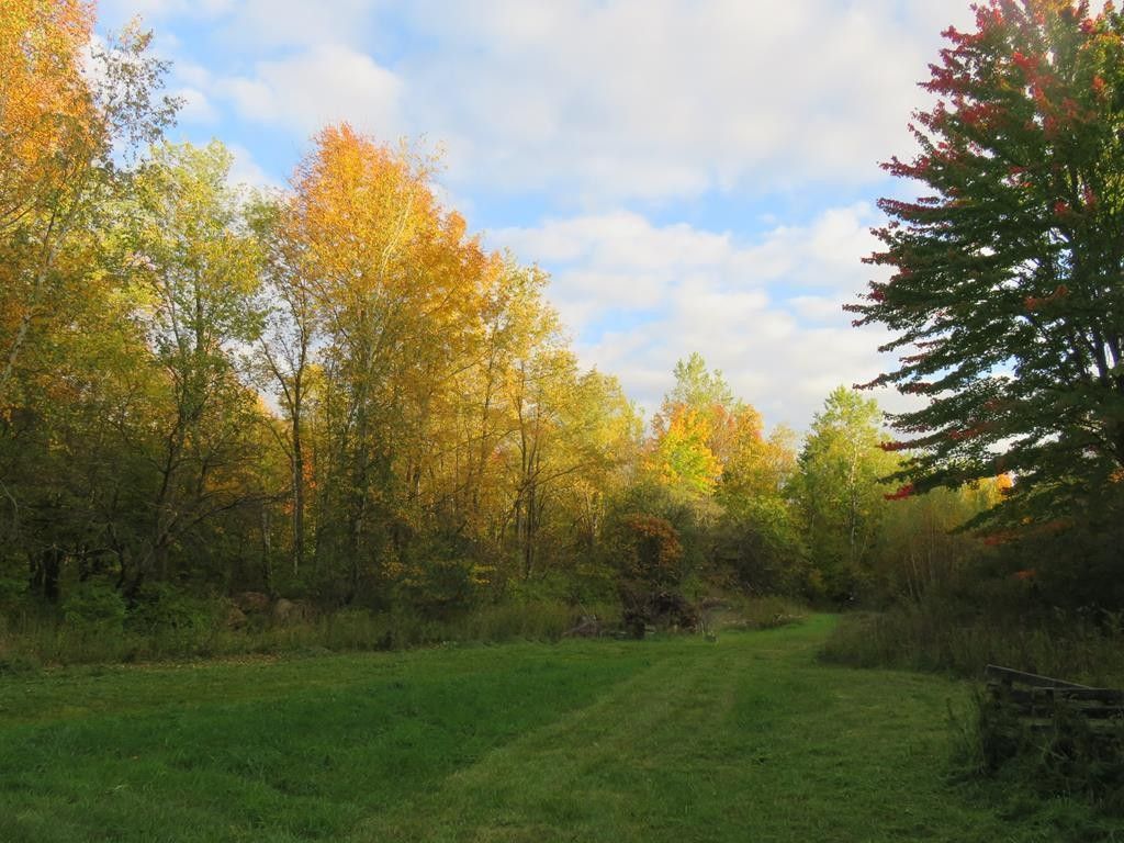 North Lawrence, Saint Lawrence County, NY Undeveloped Land for sale Property ID 411840569