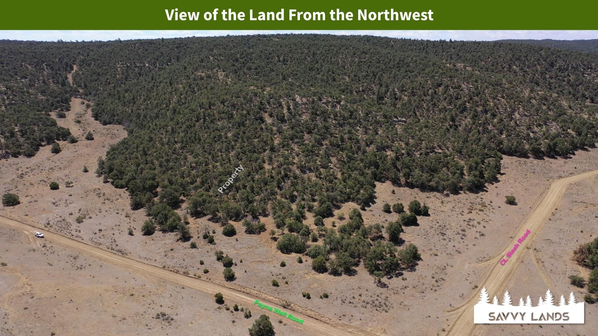 Pie Town, Catron County, NM Farms and Ranches, Undeveloped Land for