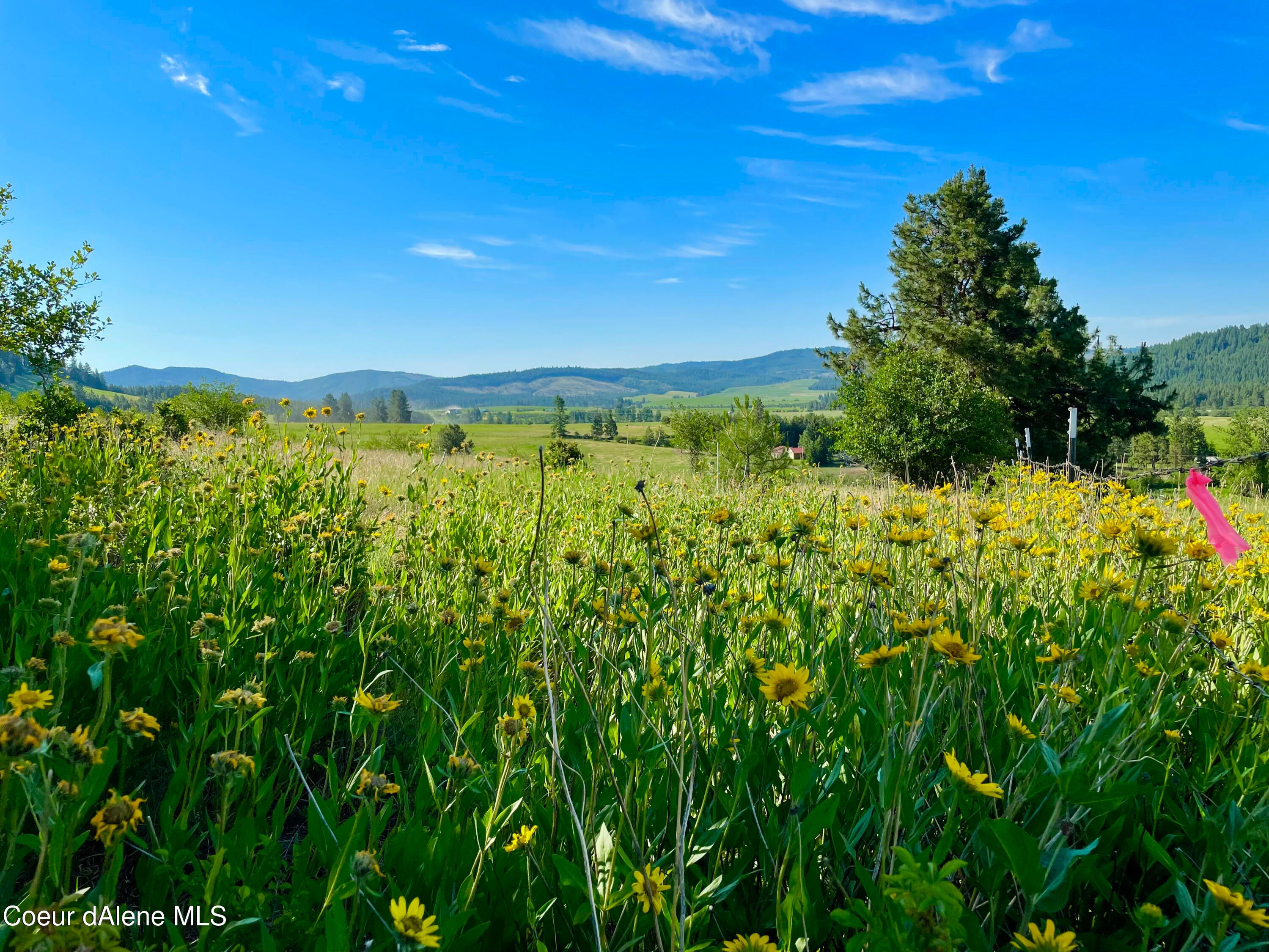 Desmet, Benewah County, ID Undeveloped Land for sale Property ID