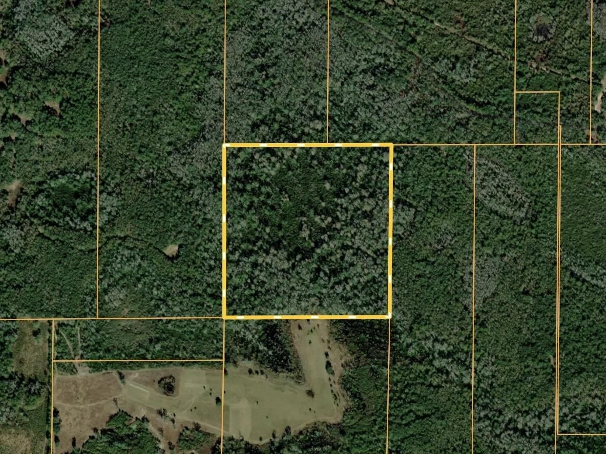 Greenville, Madison County, FL Recreational Property, Hunting Property