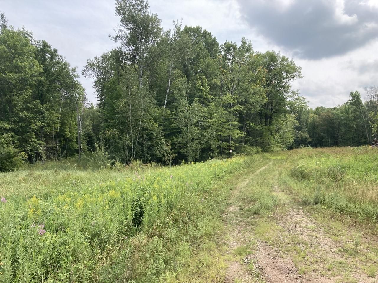 XXX Birch St., McGrath, MN 56350 MLS 6143444 LandWatch