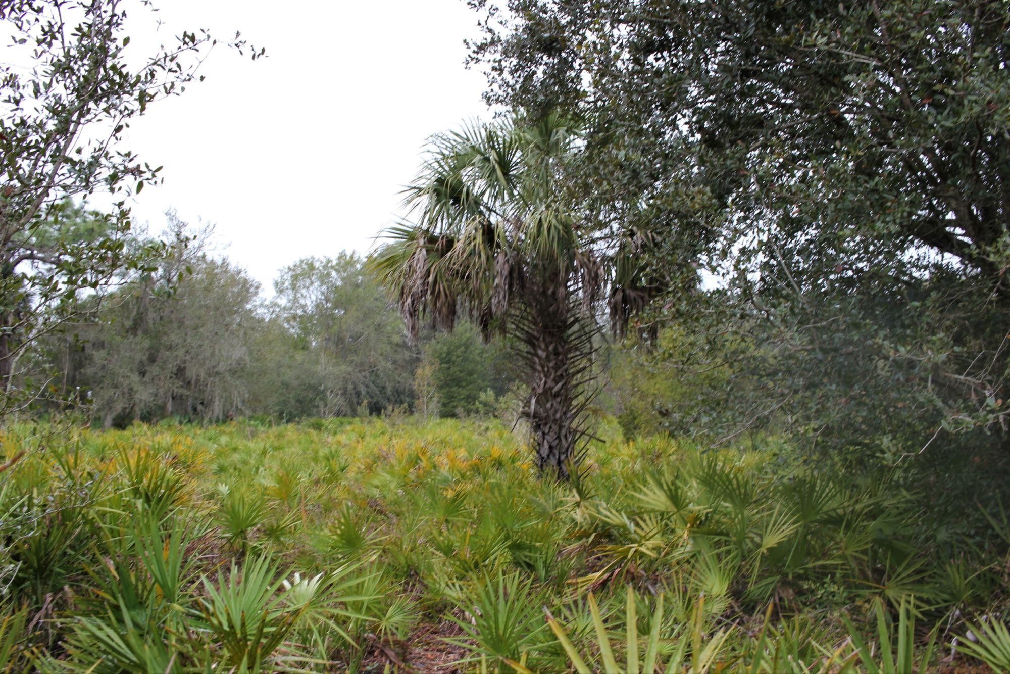 Old Crewsville Road, Zolfo Springs, FL 33890 LandWatch