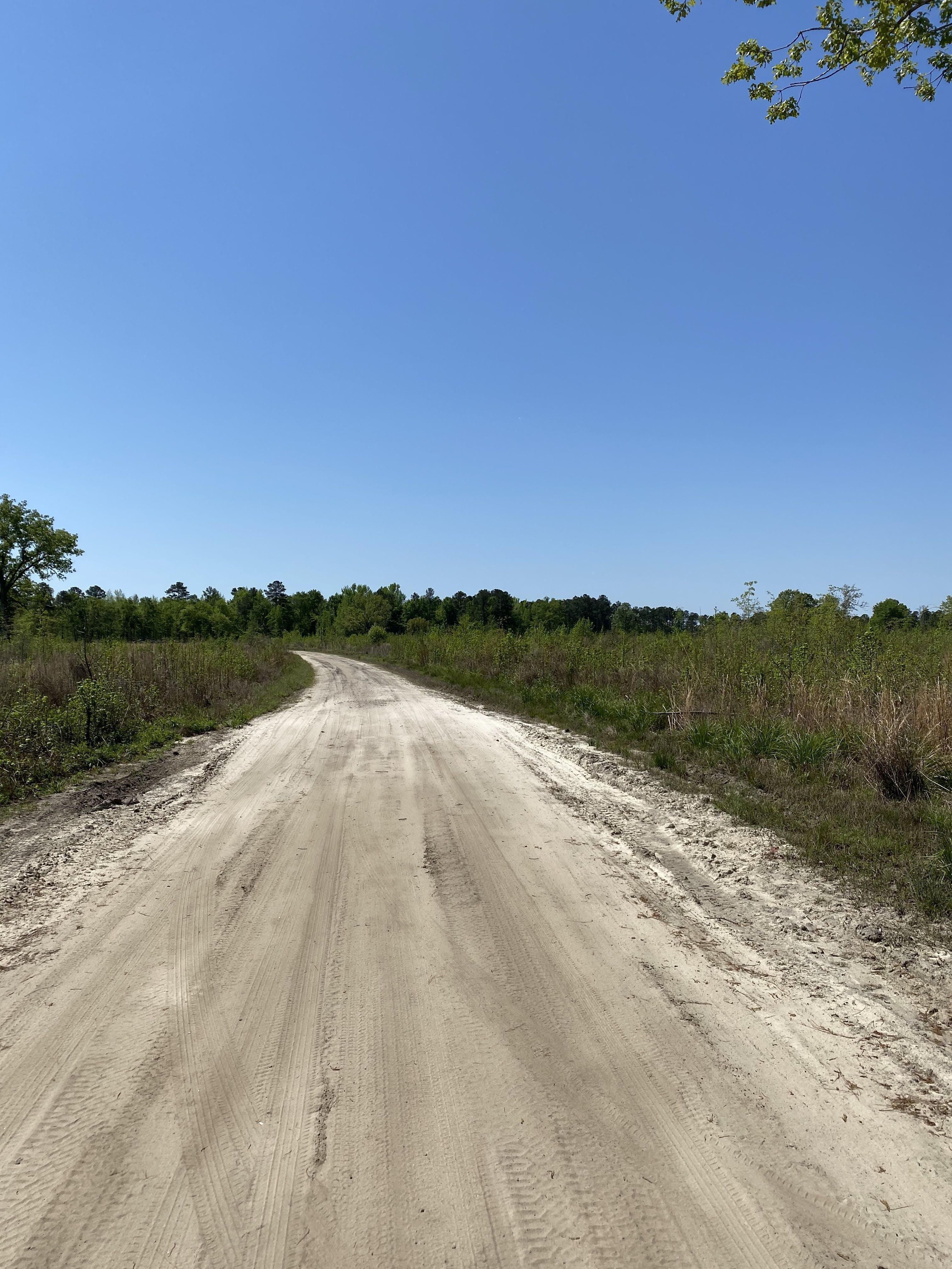Indiantown, Williamsburg County, SC Recreational Property, Timberland Property, Hunting Property