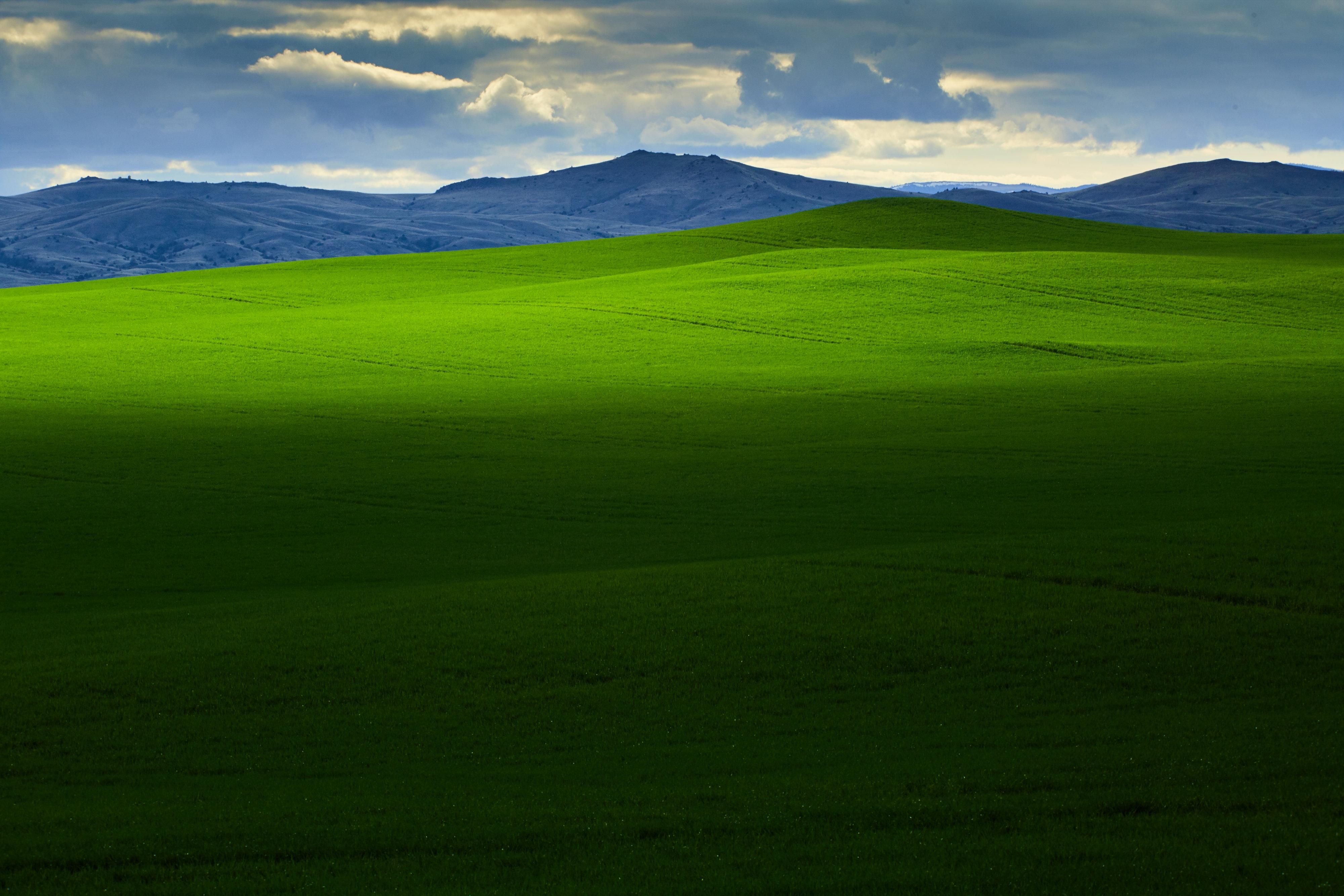 Cardwell, Jefferson County, MT Farms and Ranches for sale Property ID
