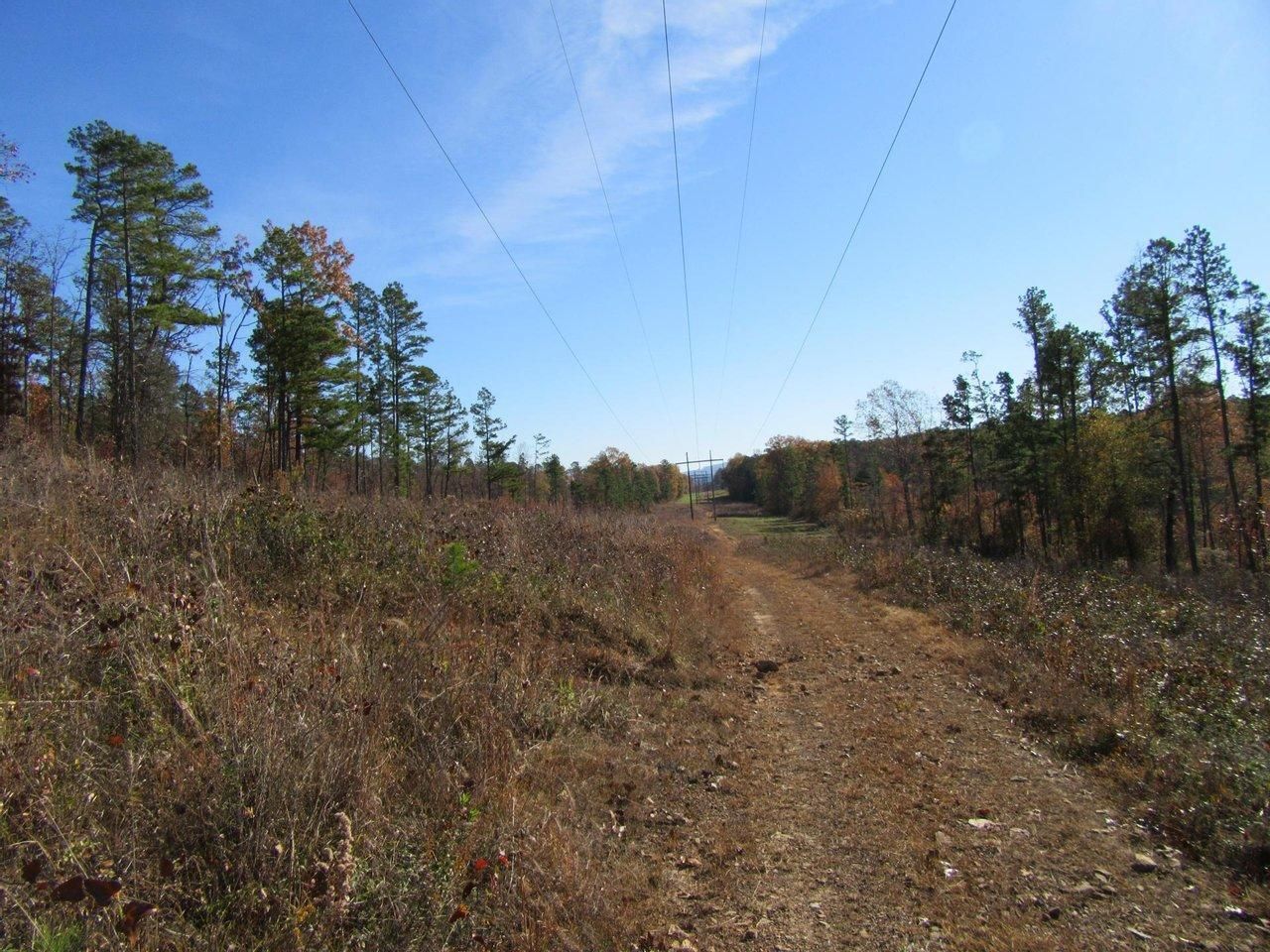 Ola, Yell County, AR Recreational Property, Timberland Property