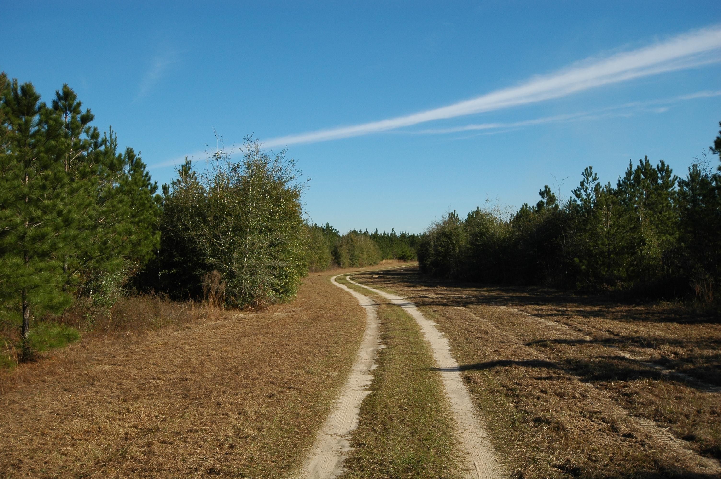 Quincy, Gadsden County, FL Recreational Property, Timberland Property