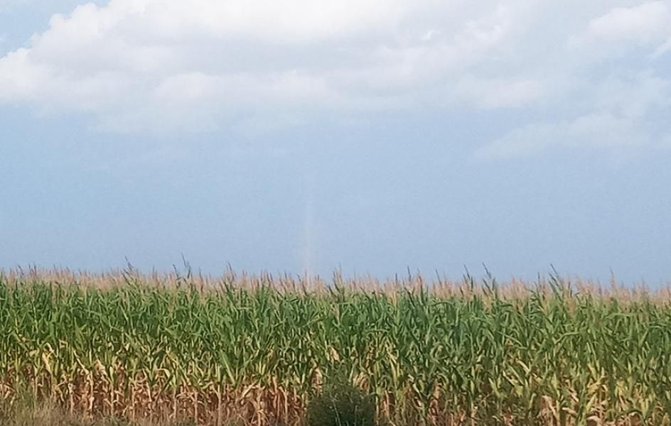 Gurley, Cheyenne County, NE Farms and Ranches, Hunting Property for