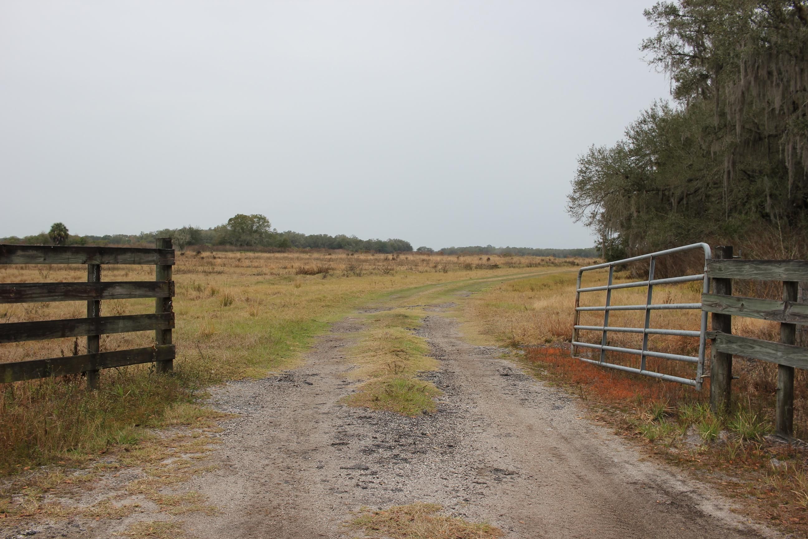 Zolfo Springs, Hardee County, FL Farms and Ranches for sale Property ID