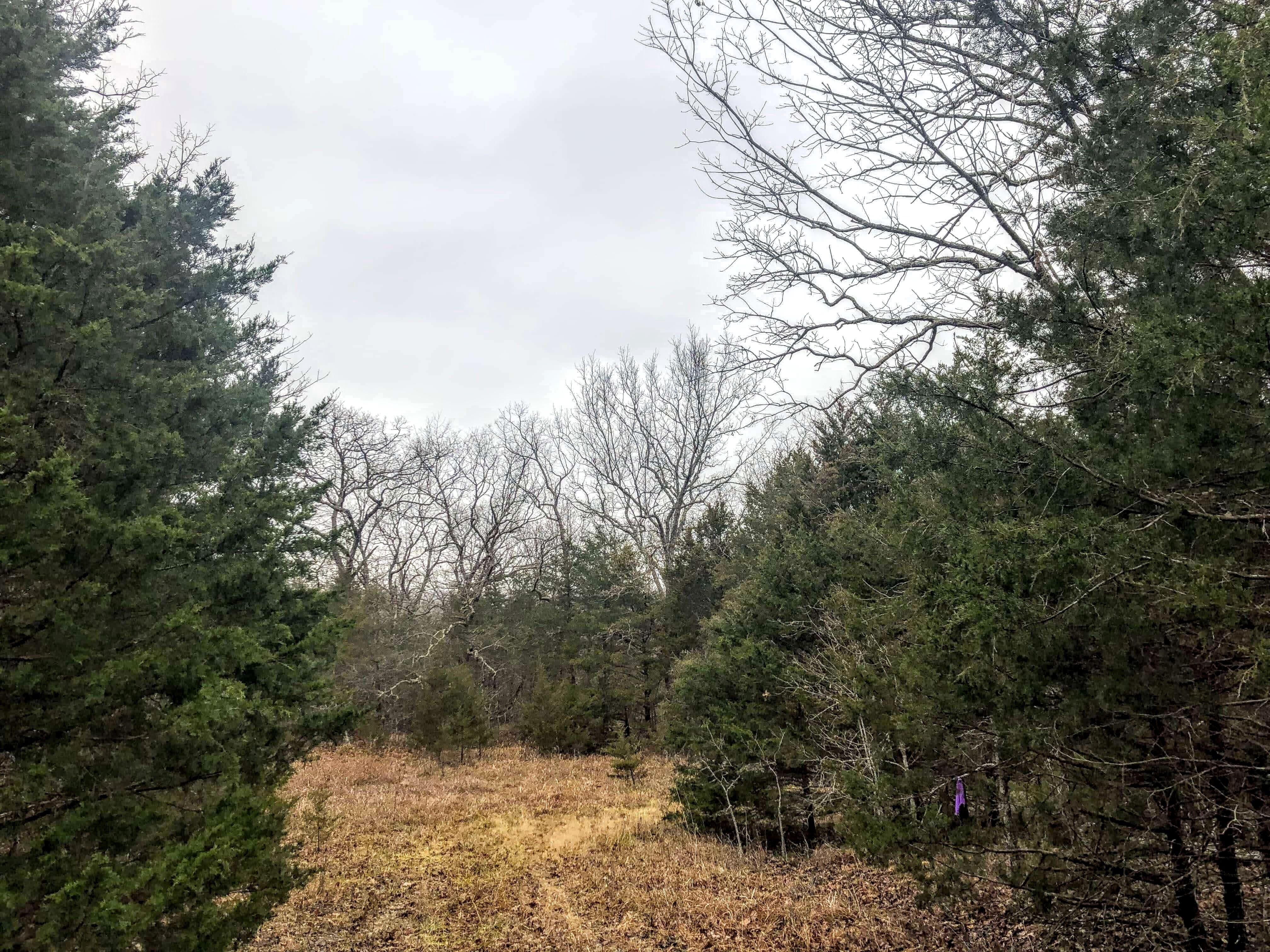 Cross Timbers, Hickory County, MO Recreational Property, Undeveloped