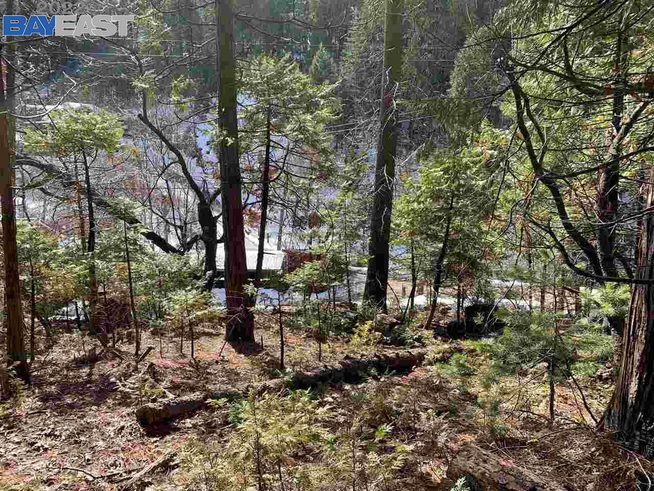 Sonora, Tuolumne County, CA Undeveloped Land, House for sale Property