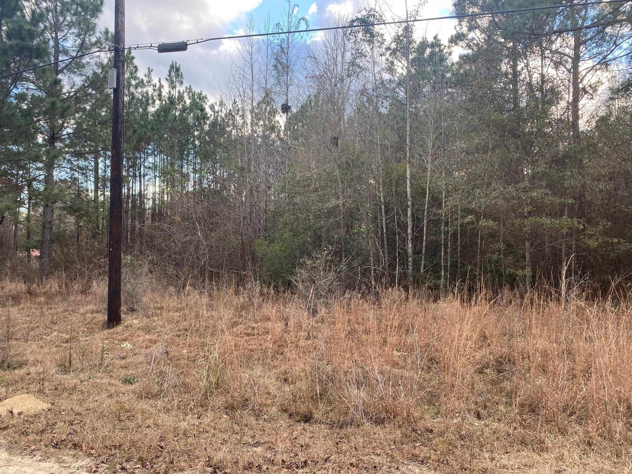 Swainsboro, Emanuel County, GA Recreational Property, Horse Property