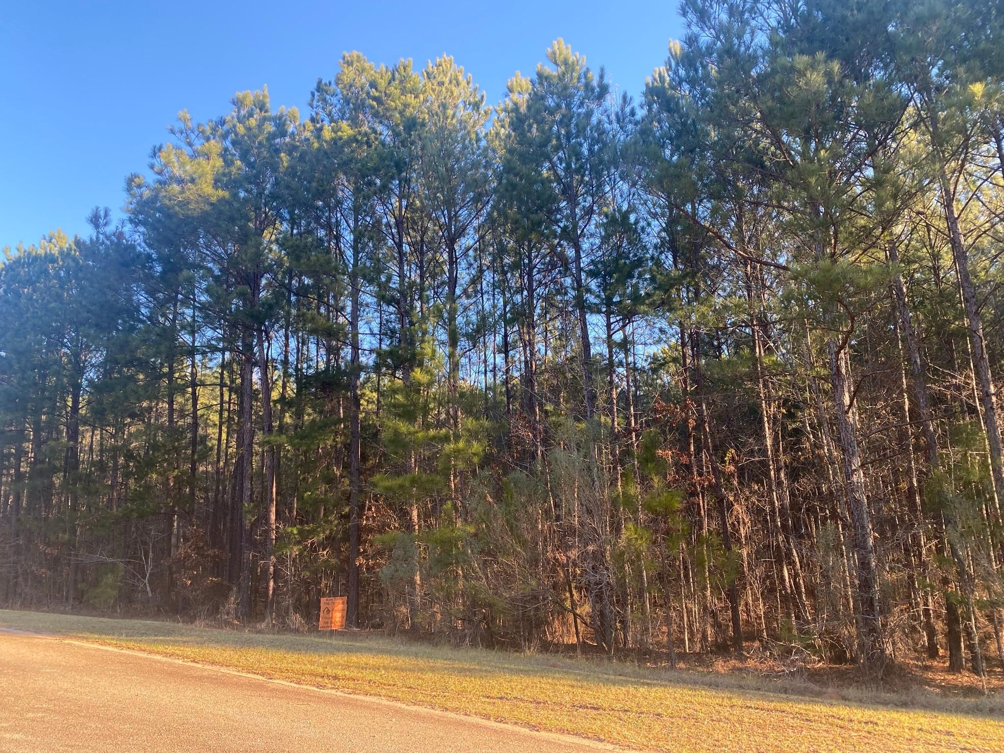 Lincolnton, Lincoln County, GA Recreational Property, Hunting Property