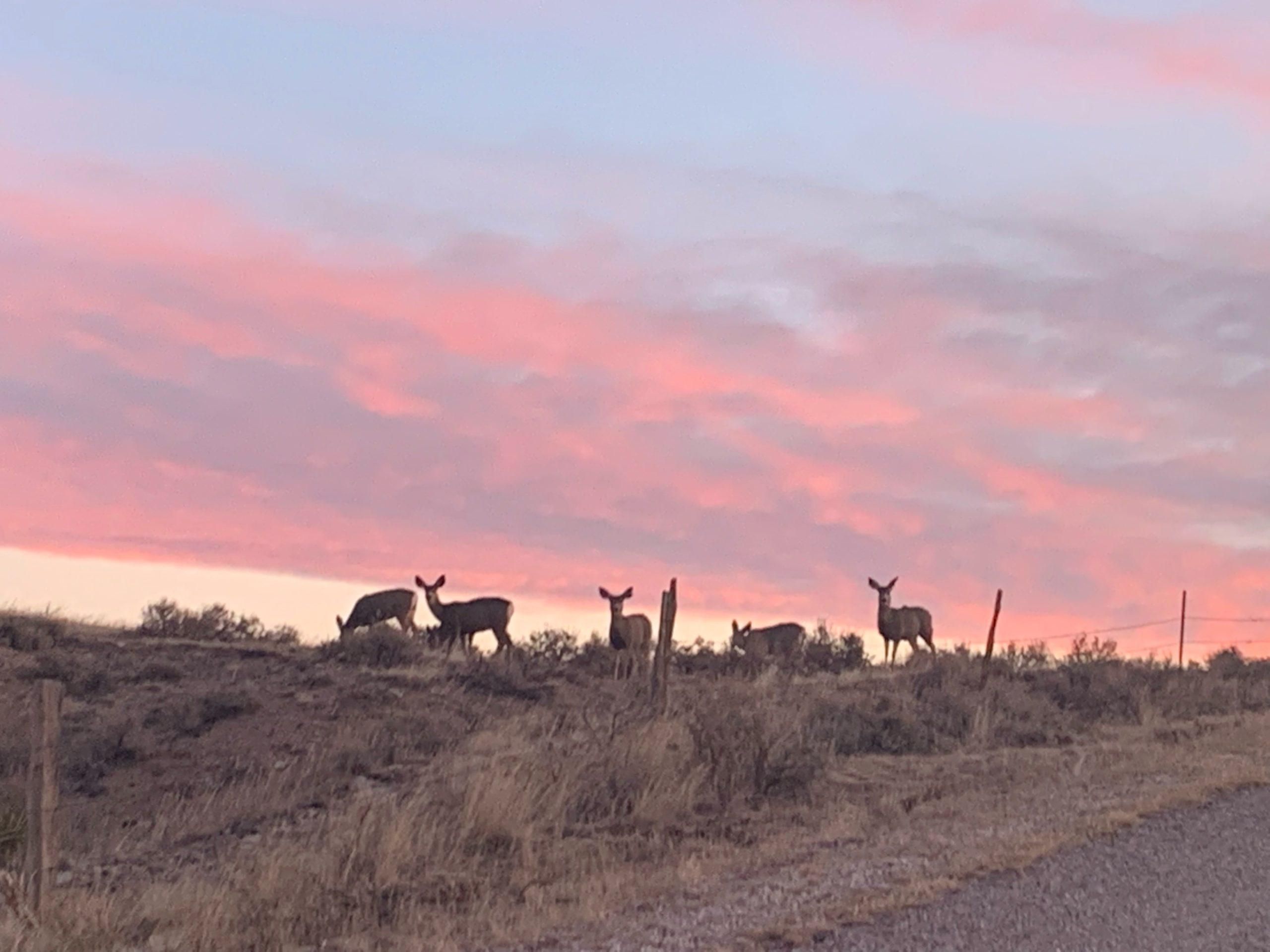 Glendo, Platte County, WY Recreational Property, Undeveloped Land for