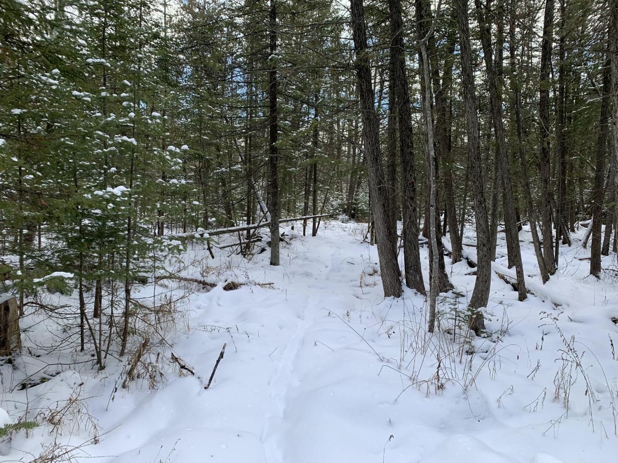 West Bawkey Road, Farwell, MI 48622 MLS 22002947 LandWatch