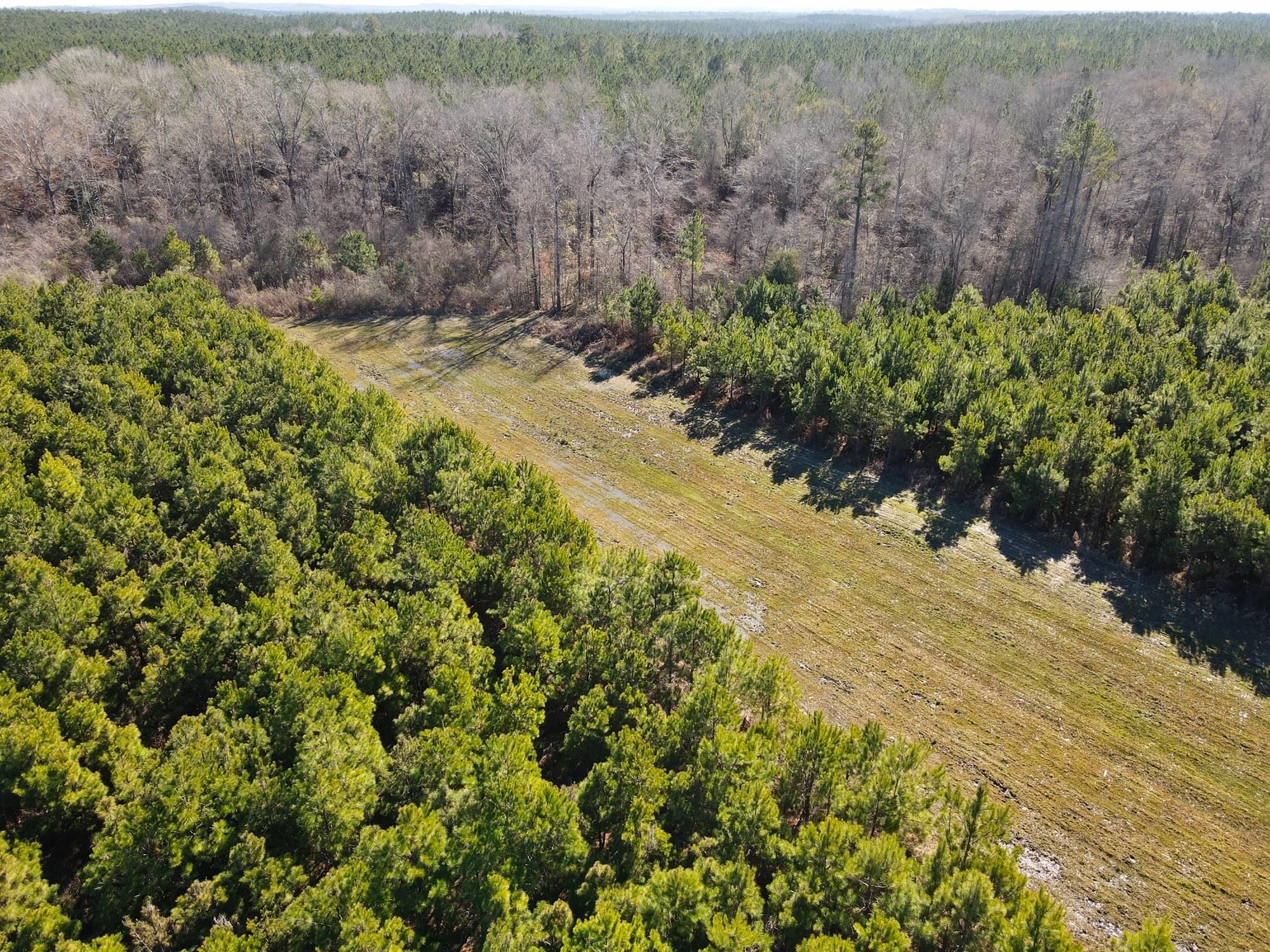 Pittsview, Russell County, AL Recreational Property, Timberland