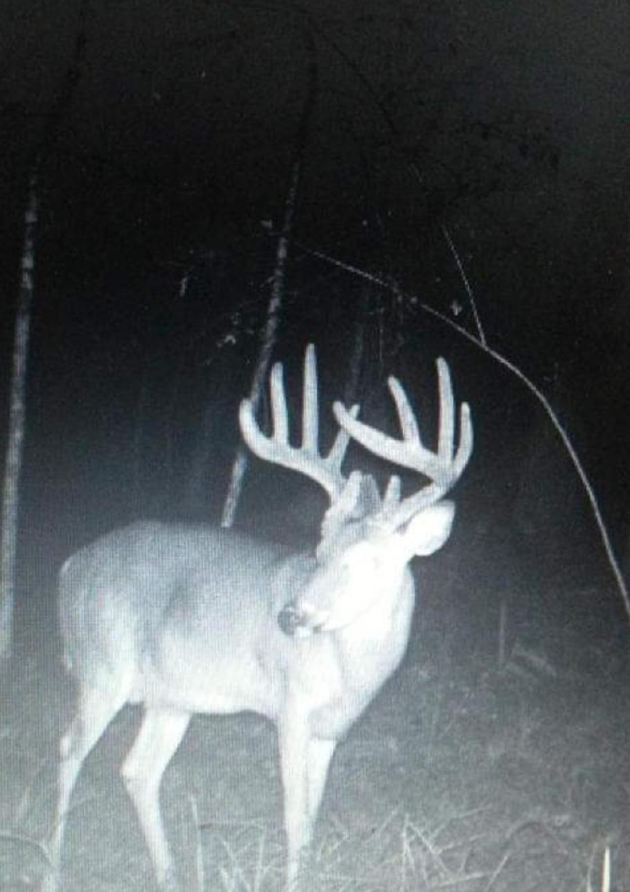 Vernon, Washington County, FL Recreational Property, Timberland