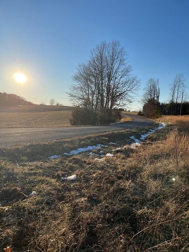 32 acres in Penhook, VA, 24137 MLS B276 REW Tract 2 LandWatch