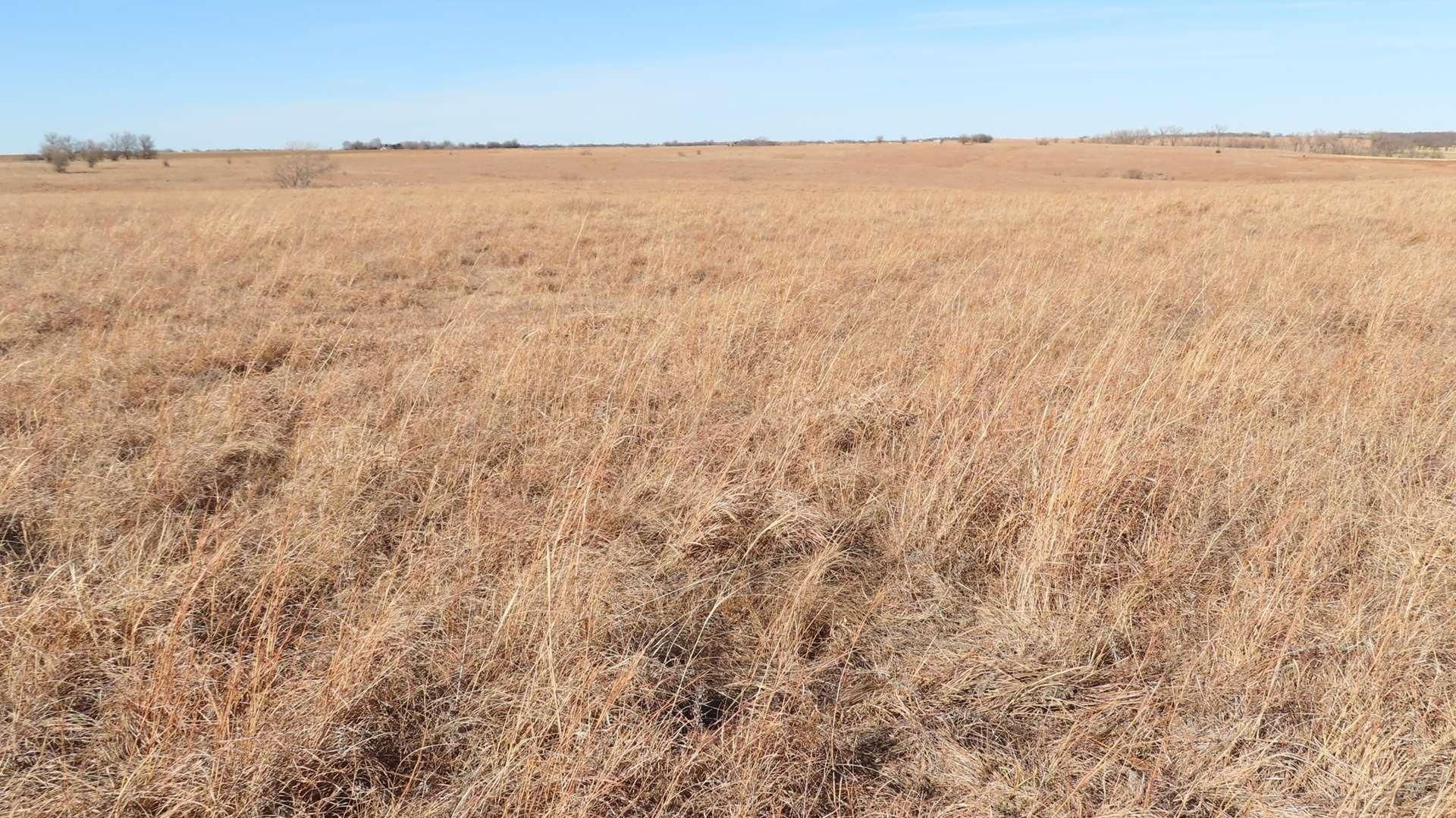 Marion, Marion County, KS Farms and Ranches, Recreational Property for