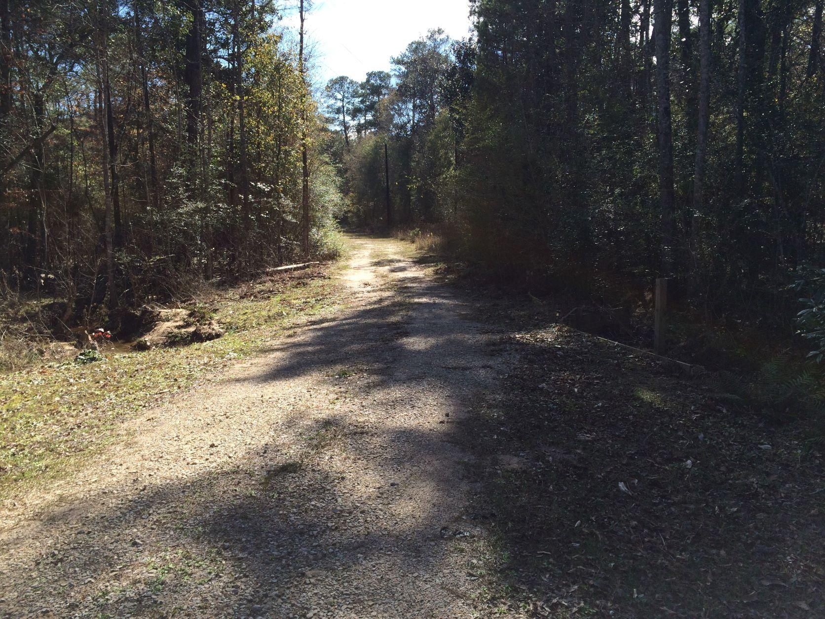 Ivanhoe, Tyler County, TX Recreational Property, Undeveloped Land, Homesites for sale Property