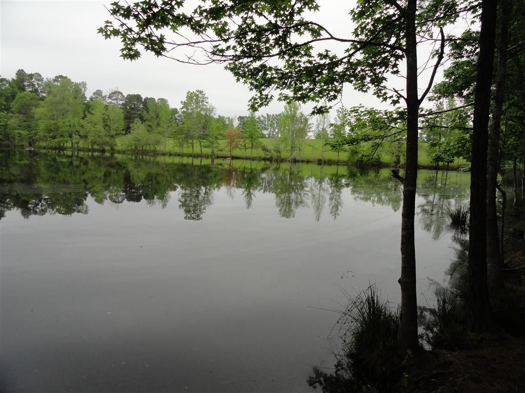 Pollock, Grant Parish, LA Farms and Ranches, Hunting Property, Horse